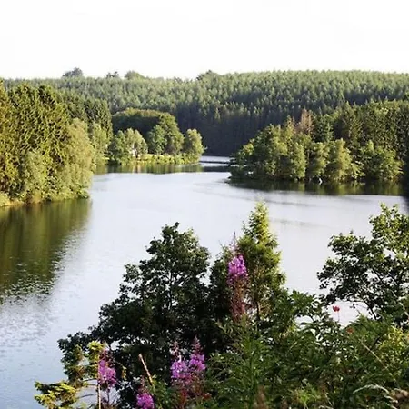 Nice Holiday Home In Sourbrodt Near Ski Resort *