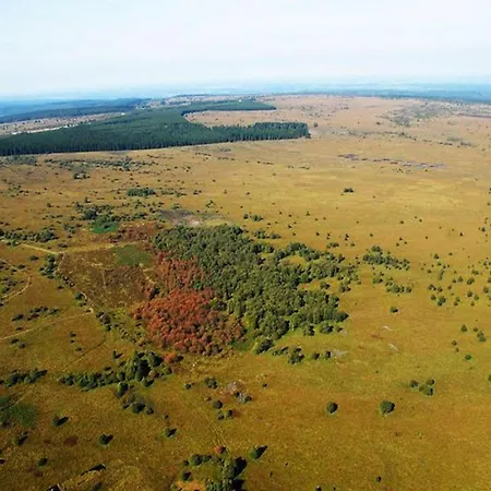Prázdninový dům Waimes Forest-edge Escape